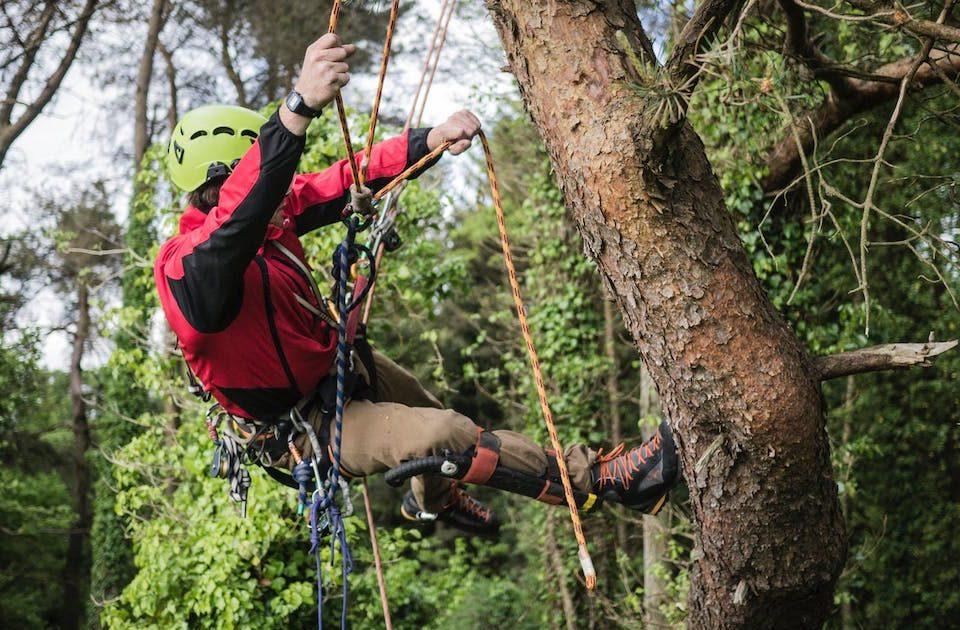 Lavoratori su Funi (Lavori su Alberi)